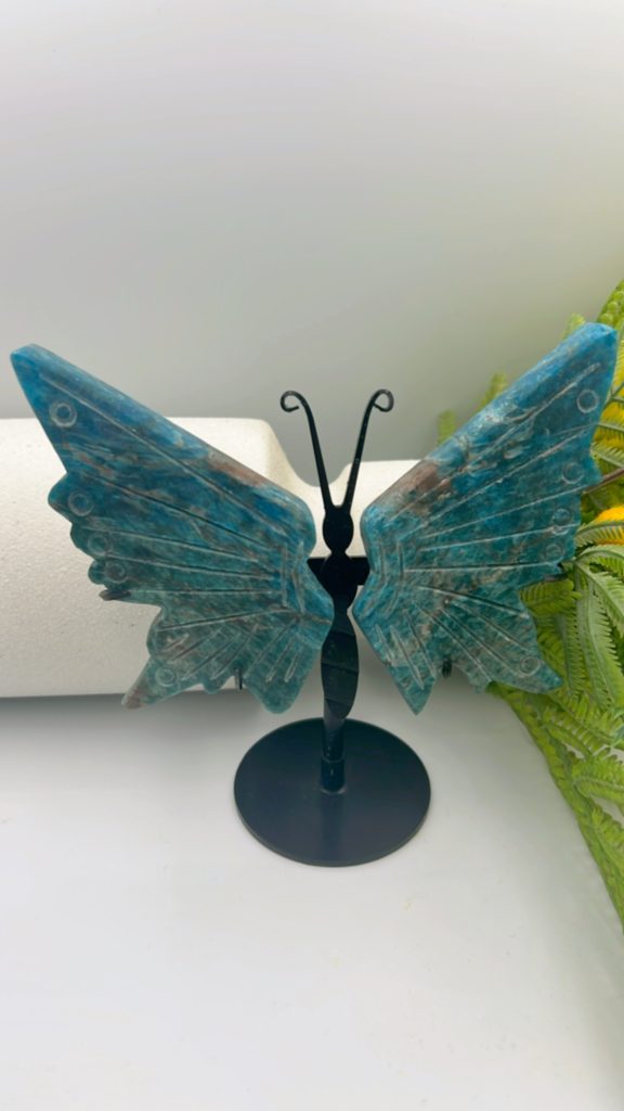 Papillon apatite